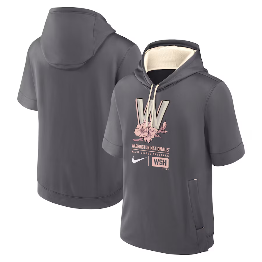 Men MLB Washington Nationals grey 2024 Nike hoodie